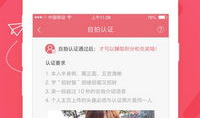 91页在线直播,91页精彩内容深度解析