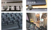 珍金岛短视频,探寻神秘宝藏的奇幻之旅